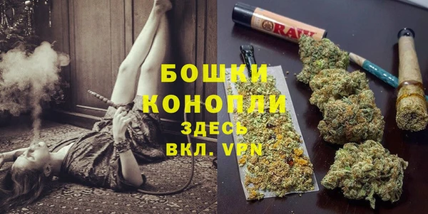 трава Беломорск