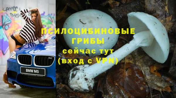 молекула духа Белоозёрский