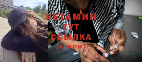 сатива Белокуриха