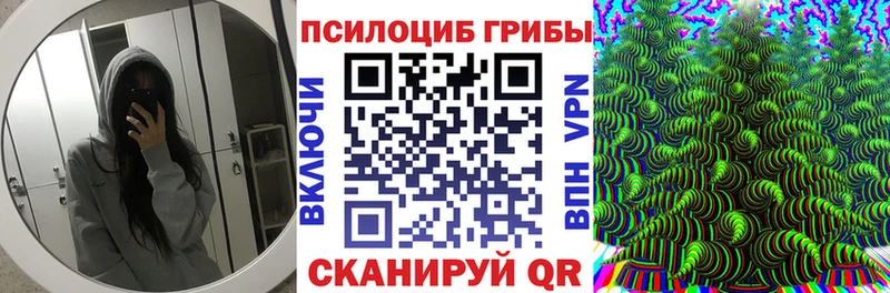 блэк спрут зеркало  Пестово  Галлюциногенные грибы мухоморы  где можно купить  